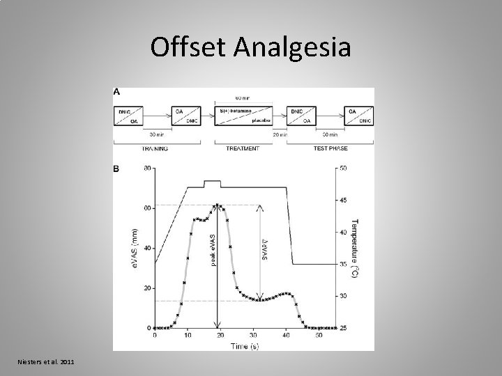 Offset Analgesia Niesters et al. 2011 