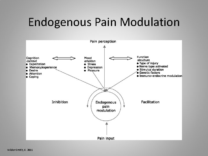 Endogenous Pain Modulation Wilder-Smith, C. 2011 