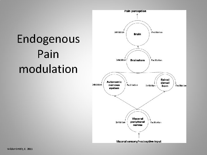 Endogenous Pain modulation Wilder-Smith, C. 2011 