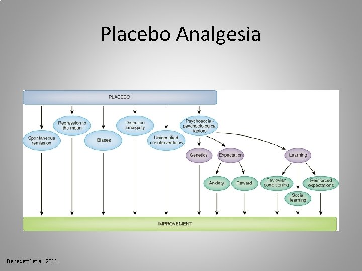 Placebo Analgesia Benedetti et al. 2011 