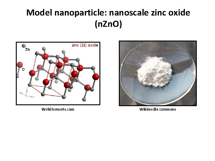 Model nanoparticle: nanoscale zinc oxide (n. Zn. O) Web. Elements. com Wikimedia commons 