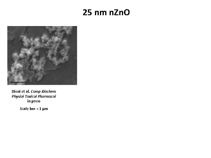 25 nm n. Zn. O Dieni et al. Comp Biochem Physiol Toxicol Pharmacol in