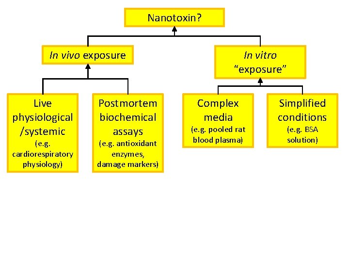 Nanotoxin? In vivo exposure Live physiological /systemic (e. g. cardiorespiratory physiology) Postmortem biochemical assays