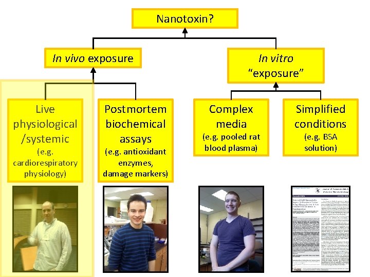 Nanotoxin? In vivo exposure Live physiological /systemic (e. g. cardiorespiratory physiology) Postmortem biochemical assays
