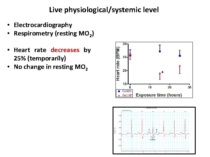 Live physiological/systemic level • Electrocardiography • Respirometry (resting MO 2) • Heart rate decreases