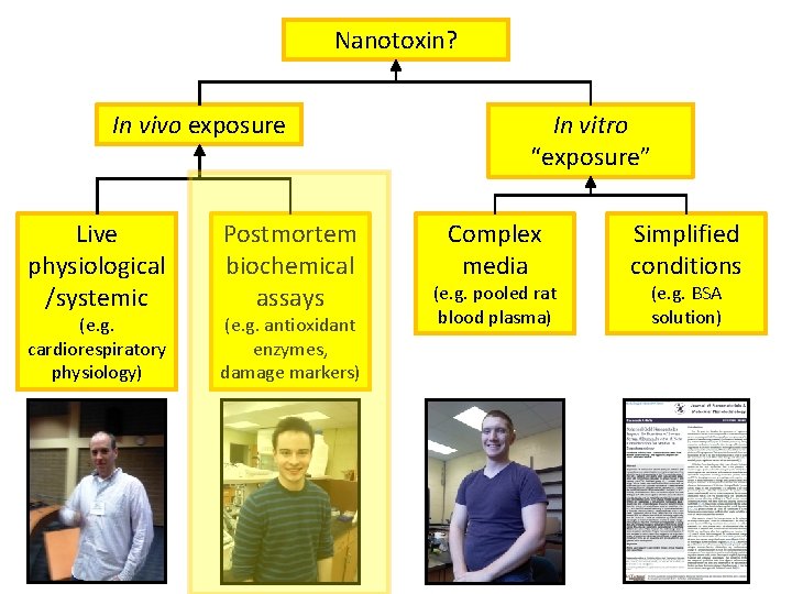 Nanotoxin? In vivo exposure Live physiological /systemic (e. g. cardiorespiratory physiology) Postmortem biochemical assays
