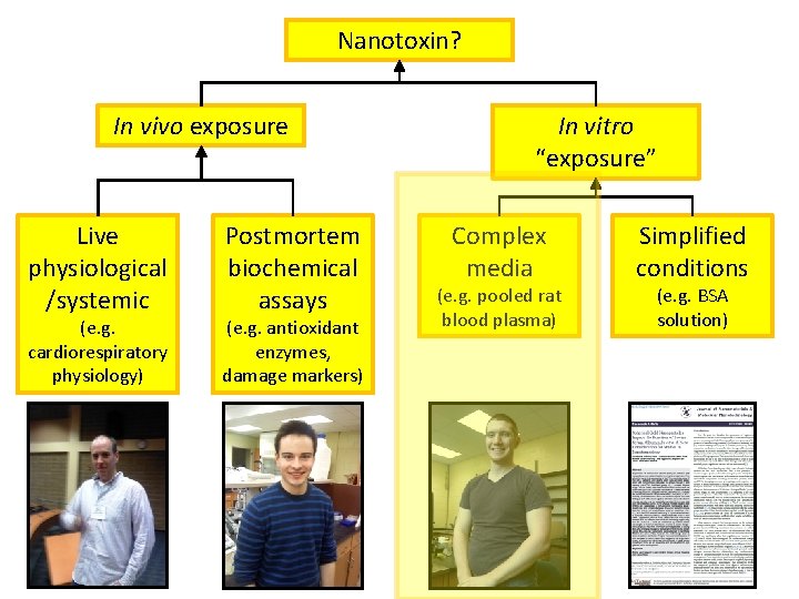 Nanotoxin? In vivo exposure Live physiological /systemic (e. g. cardiorespiratory physiology) Postmortem biochemical assays