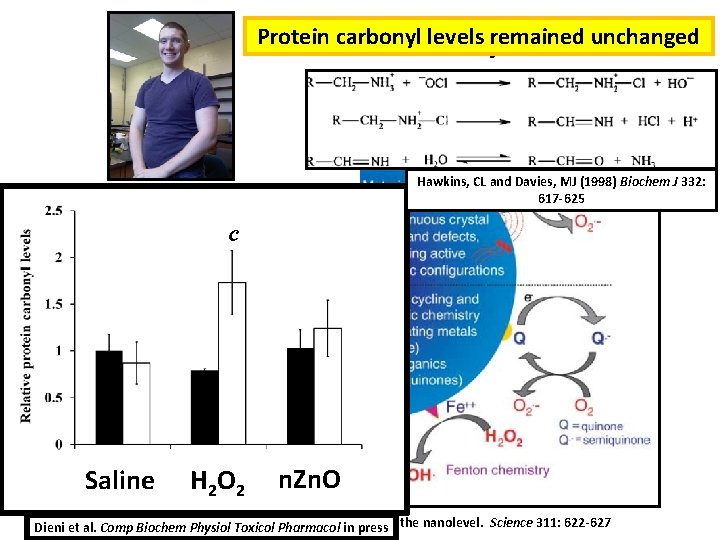 Protein carbonyl levels remained unchanged Nanoparticle toxicity Patrick T. Gormley, Honours Chemistry student Hawkins,