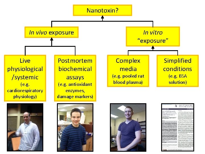 Nanotoxin? In vivo exposure Live physiological /systemic (e. g. cardiorespiratory physiology) Postmortem biochemical assays