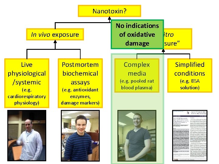 Nanotoxin? In vivo exposure Live physiological /systemic (e. g. cardiorespiratory physiology) Postmortem biochemical assays