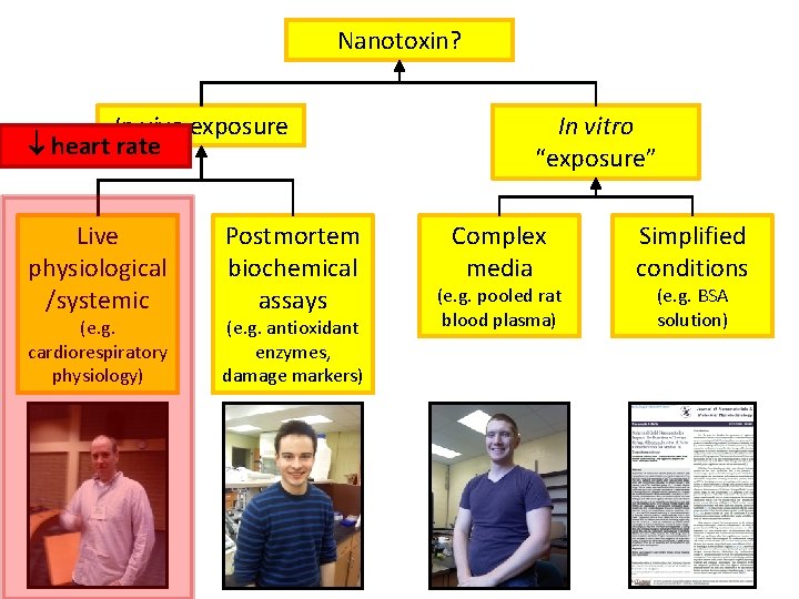 Nanotoxin? In vivo exposure heart rate Live physiological /systemic (e. g. cardiorespiratory physiology) Postmortem