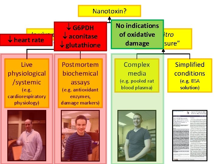 Nanotoxin? G 6 PDH In vivo exposure aconitase heart rate glutathione Live physiological /systemic