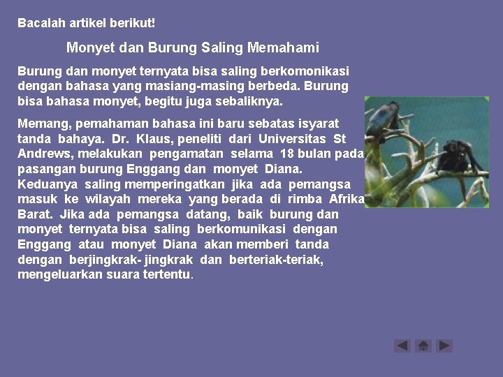 Bacalah artikel berikut! Monyet dan Burung Saling Memahami Burung dan monyet ternyata bisa saling