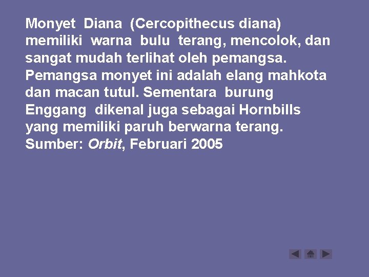 Monyet Diana (Cercopithecus diana) memiliki warna bulu terang, mencolok, dan sangat mudah terlihat oleh