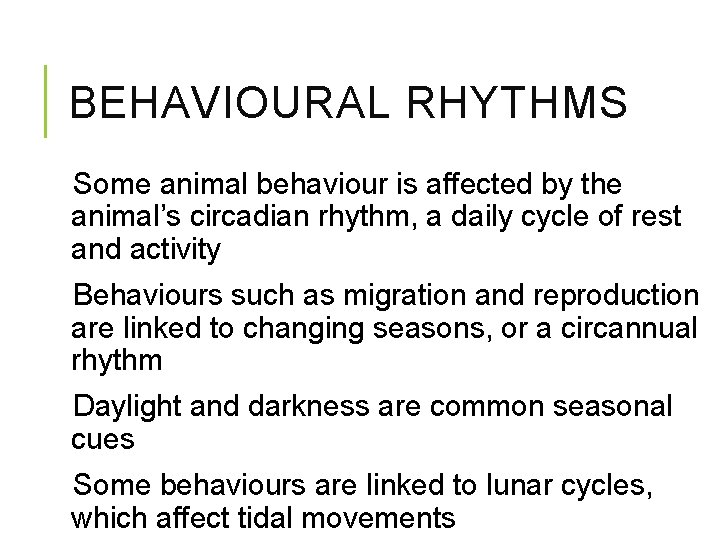 BEHAVIOURAL RHYTHMS Some animal behaviour is affected by the animal’s circadian rhythm, a daily