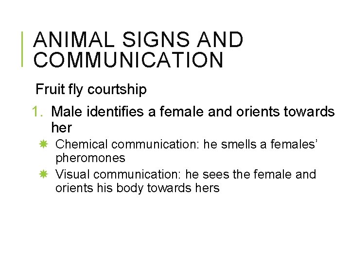 ANIMAL SIGNS AND COMMUNICATION Fruit fly courtship 1. Male identifies a female and orients