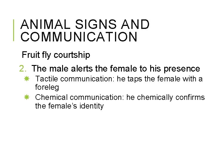 ANIMAL SIGNS AND COMMUNICATION Fruit fly courtship 2. The male alerts the female to
