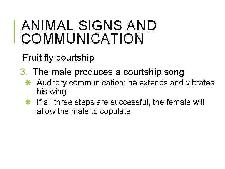 ANIMAL SIGNS AND COMMUNICATION Fruit fly courtship 3. The male produces a courtship song