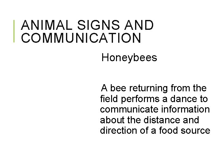 ANIMAL SIGNS AND COMMUNICATION Honeybees A bee returning from the field performs a dance