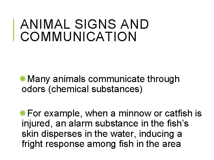 ANIMAL SIGNS AND COMMUNICATION Many animals communicate through odors (chemical substances) For example, when