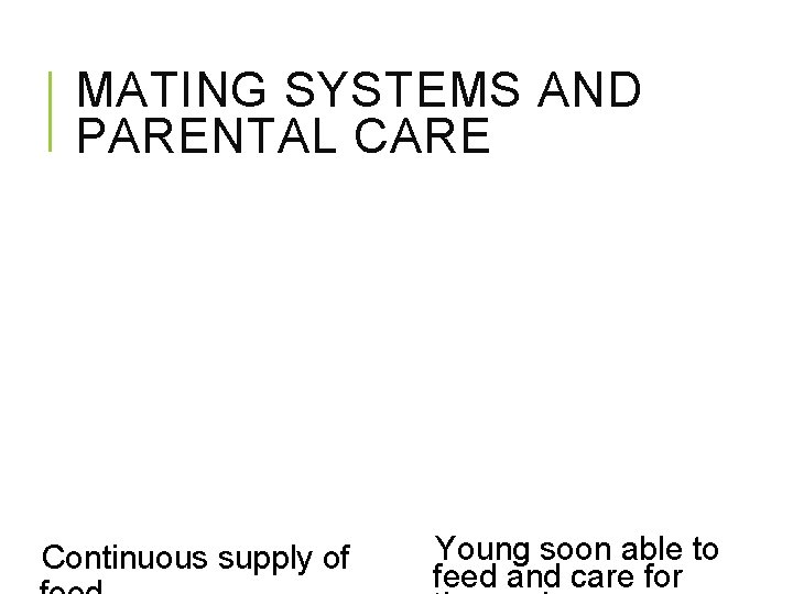 MATING SYSTEMS AND PARENTAL CARE Continuous supply of Young soon able to feed and