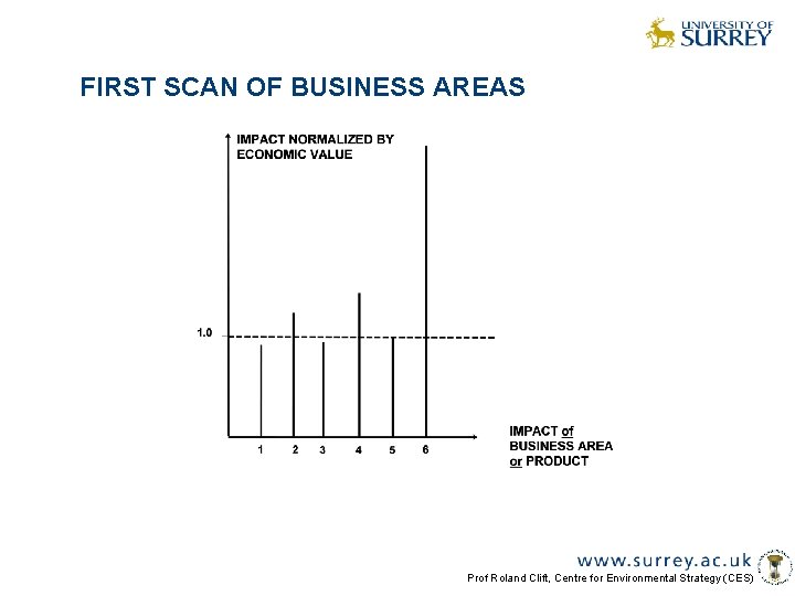FIRST SCAN OF BUSINESS AREAS Prof Roland Clift, Centre for Environmental Strategy (CES) 