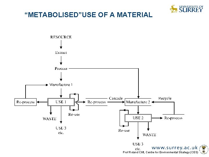 “METABOLISED”USE OF A MATERIAL Prof Roland Clift, Centre for Environmental Strategy (CES) 