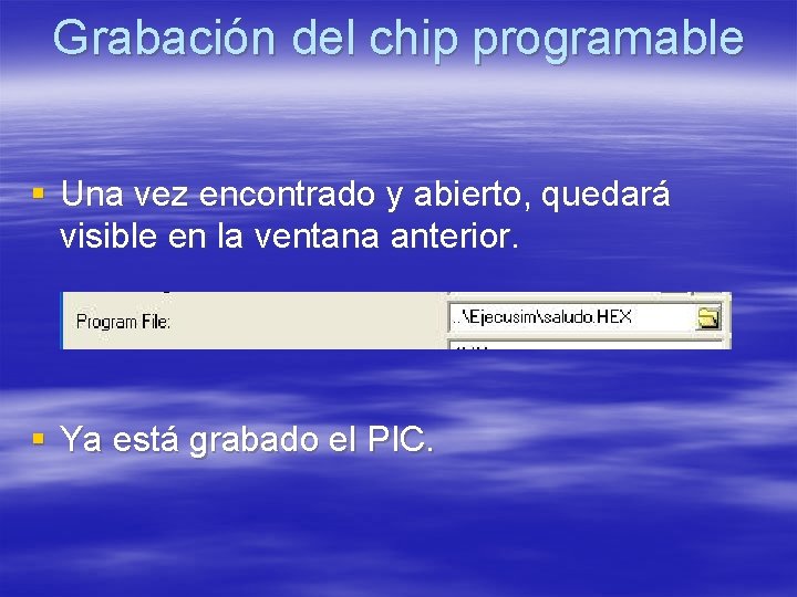 Grabación del chip programable § Una vez encontrado y abierto, quedará visible en la