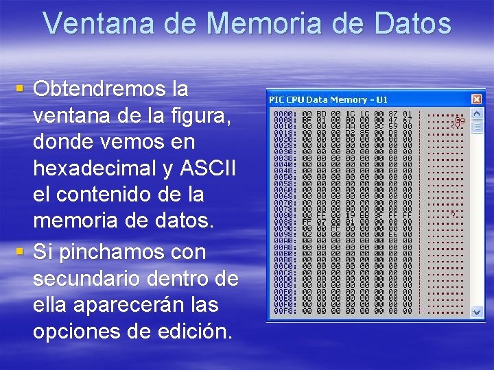 Ventana de Memoria de Datos § Obtendremos la ventana de la figura, donde vemos