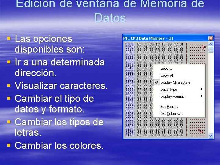 Edición de ventana de Memoria de Datos § Las opciones disponibles son: § Ir