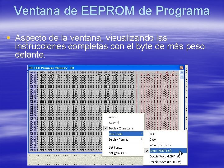 Ventana de EEPROM de Programa § Aspecto de la ventana, visualizando las instrucciones completas