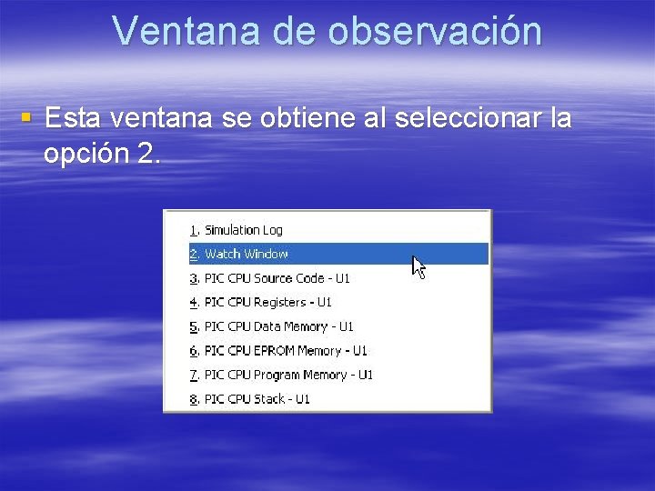 Ventana de observación § Esta ventana se obtiene al seleccionar la opción 2. 