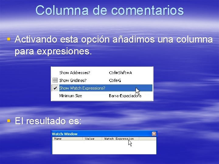 Columna de comentarios § Activando esta opción añadimos una columna para expresiones. § El