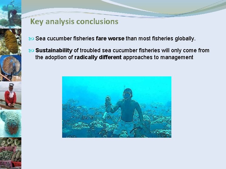 Key analysis conclusions Sea cucumber fisheries fare worse than most fisheries globally. Sustainability of