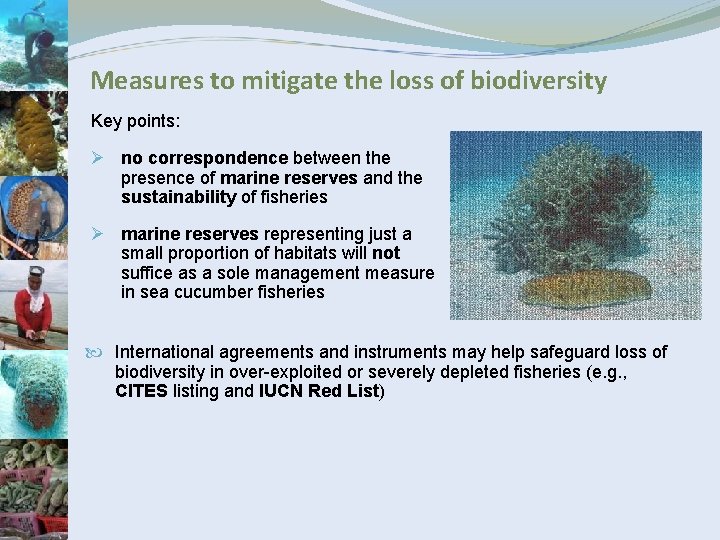 Measures to mitigate the loss of biodiversity Key points: Ø no correspondence between the