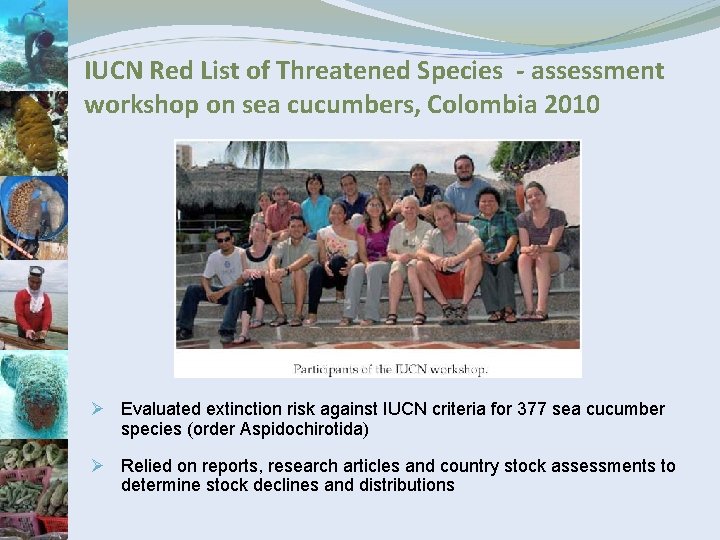 IUCN Red List of Threatened Species - assessment workshop on sea cucumbers, Colombia 2010