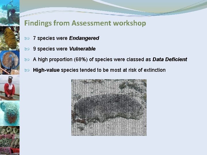 Findings from Assessment workshop 7 species were Endangered 9 species were Vulnerable A high