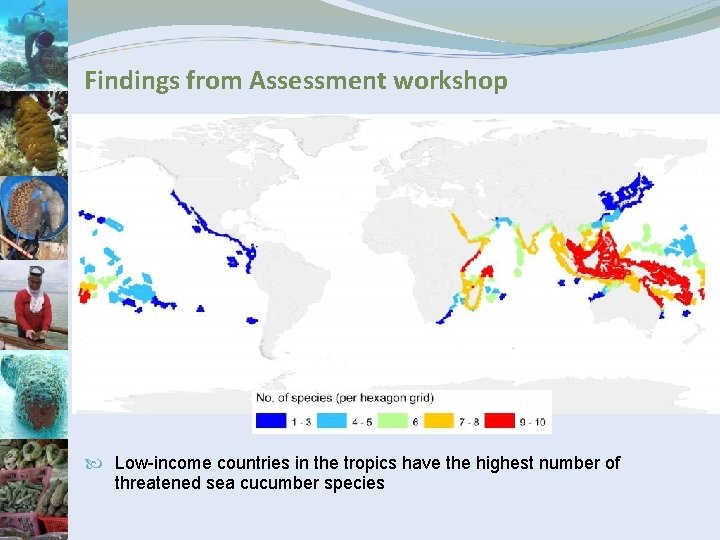 Findings from Assessment workshop Low-income countries in the tropics have the highest number of