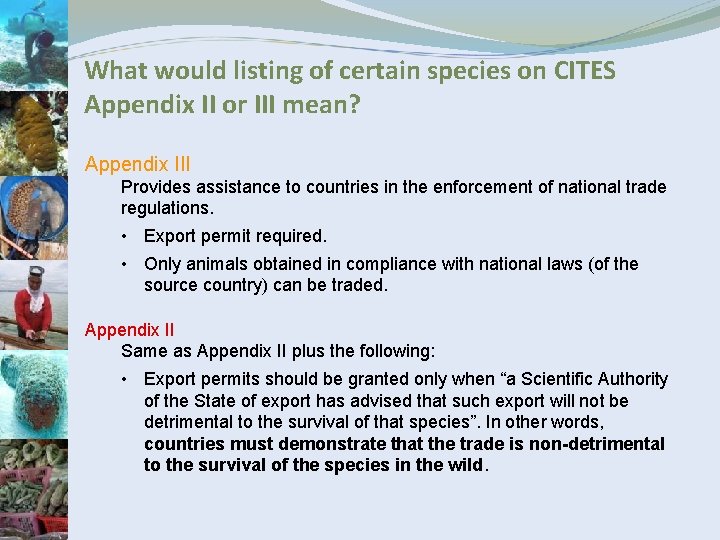 What would listing of certain species on CITES Appendix II or III mean? Appendix