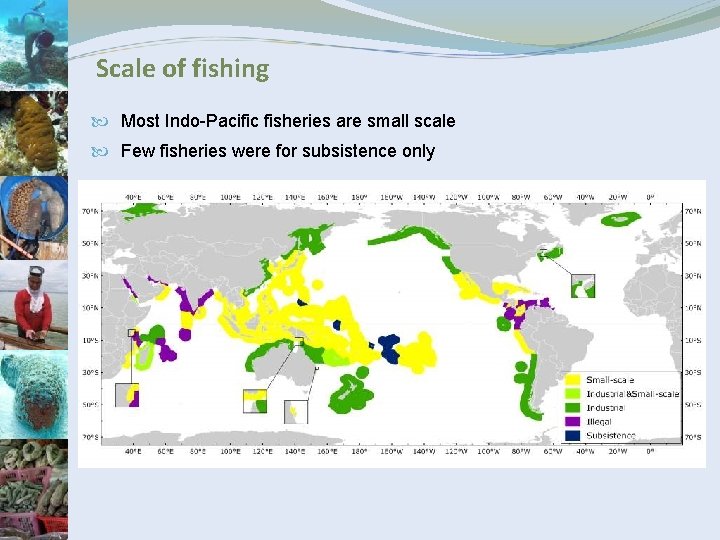 Scale of fishing Most Indo-Pacific fisheries are small scale Few fisheries were for subsistence