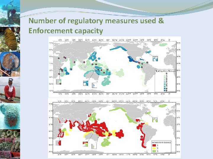 Number of regulatory measures used & Enforcement capacity 