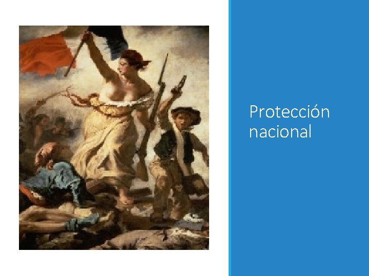 Protección nacional 