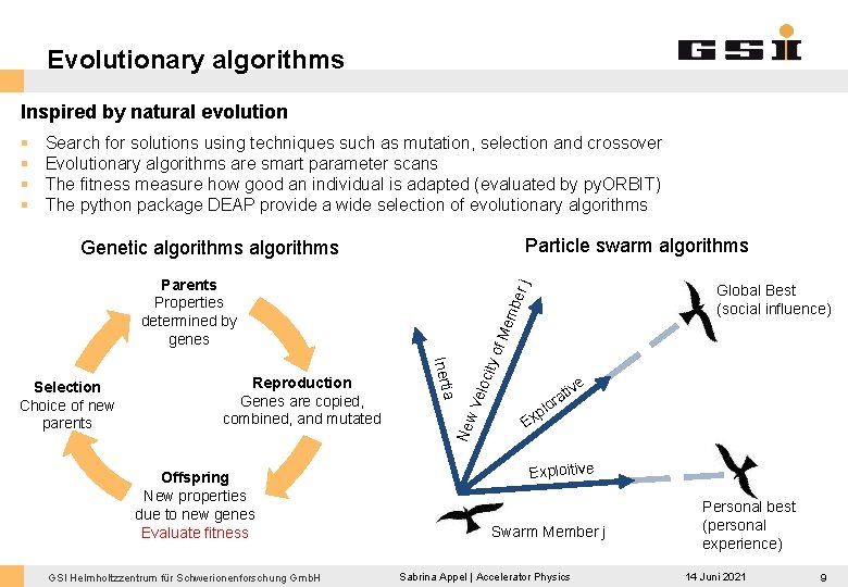 Evolutionary algorithms Inspired by natural evolution § § Search for solutions using techniques such