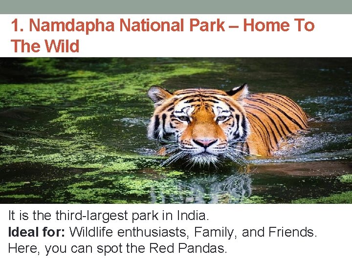 1. Namdapha National Park – Home To The Wild It is the third-largest park