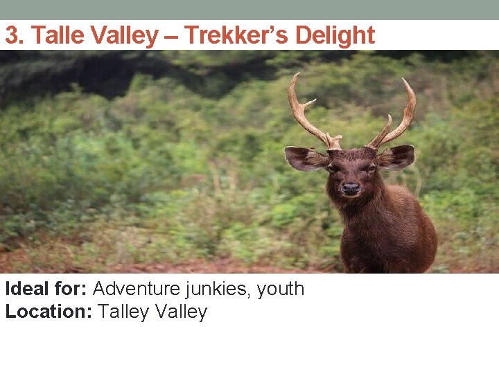 3. Talle Valley – Trekker’s Delight Ideal for: Adventure junkies, youth Location: Talley Valley
