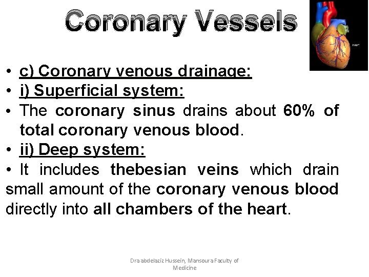 Coronary Vessels • c) Coronary venous drainage: • i) Superficial system: • The coronary