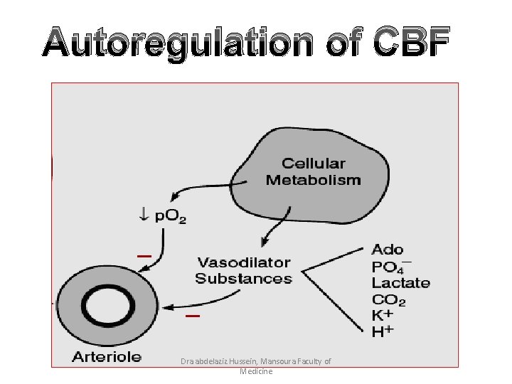 Autoregulation of CBF Dra abdelaziz Hussein, Mansoura Faculty of Medicine 