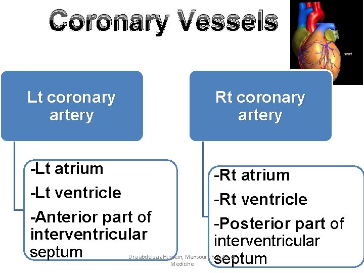 Coronary Vessels Lt coronary artery Rt coronary artery -Lt atrium -Rt atrium -Lt ventricle