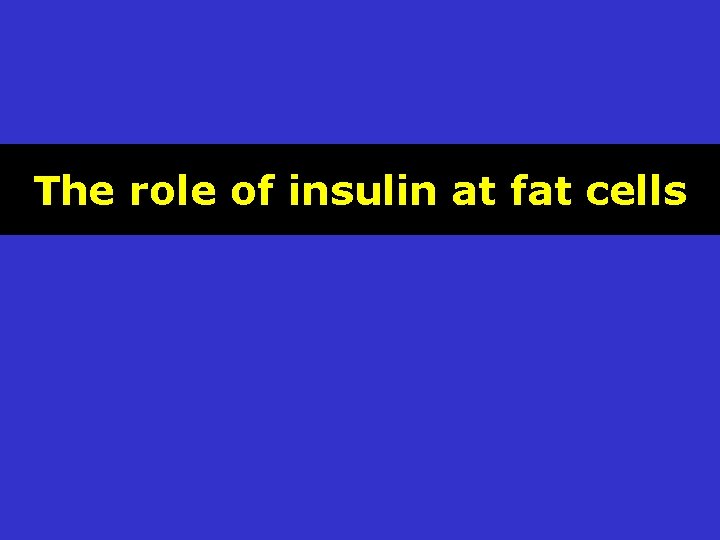 The role of insulin at fat cells 