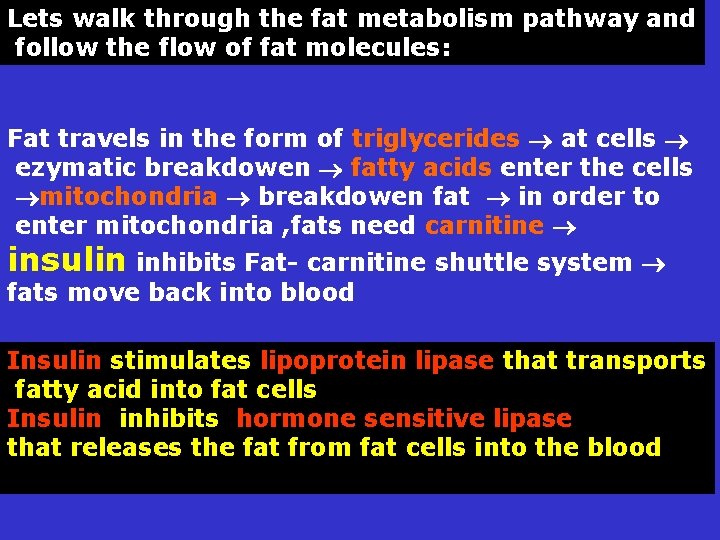 Lets walk through the fat metabolism pathway and follow the flow of fat molecules:
